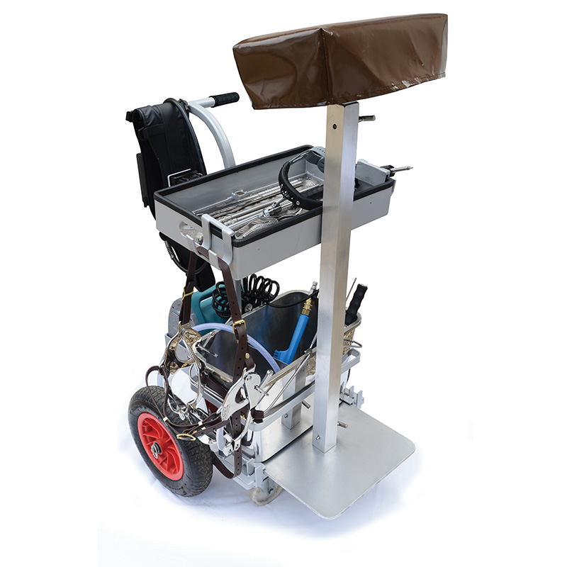 Dynamic Professional Workstation3